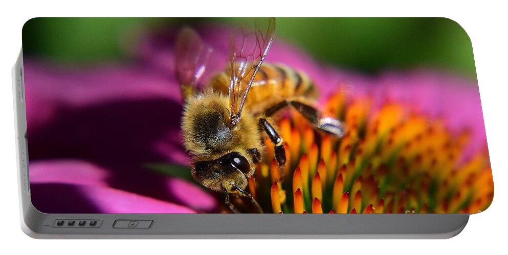 Honey Bee Portable Battery Charger featuring the photograph The Honey Bee and The Cone by Jimmy Chuck Smith