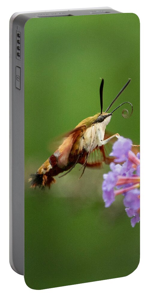 Cool Portable Battery Charger featuring the photograph The Hummingbird Moth by Linda Bonaccorsi