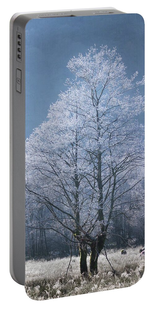  Portable Battery Charger featuring the photograph The Ice Dancers - portrait by Anita Nicholson
