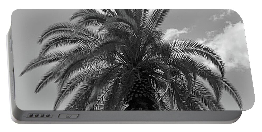 Palm Portable Battery Charger featuring the photograph The Joy of a Summer Sky by Calvin Boyer