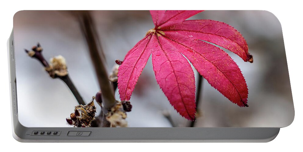 Leaf Portable Battery Charger featuring the photograph The Last of Fall 1 by Rick Nelson