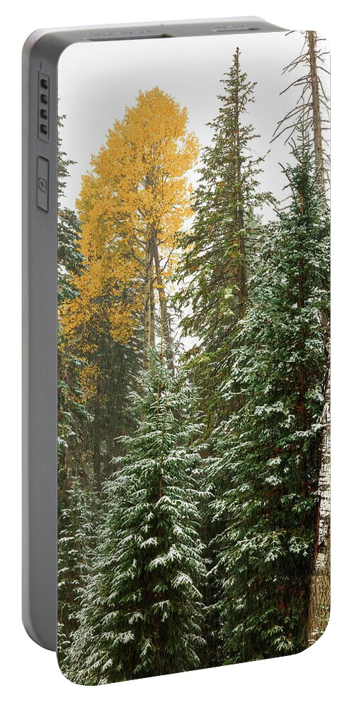Art Portable Battery Charger featuring the photograph The Last Vestige by Rick Furmanek