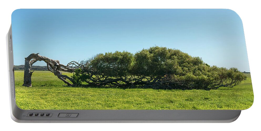 Geraldton Portable Battery Charger featuring the photograph The Leaning Tree, Greenough, Western Australia by Elaine Teague