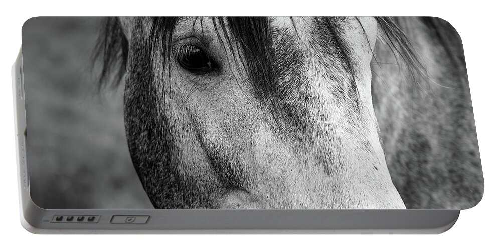 Gray Portable Battery Charger featuring the photograph The Look Of A Horse by Nicklas Gustafsson