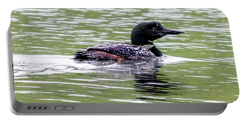 Loon Portable Battery Charger featuring the photograph The Loon in the Morning by Regina Muscarella