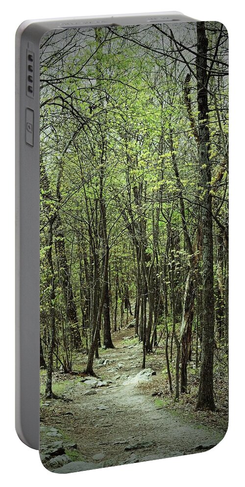 Forest Portable Battery Charger featuring the photograph The Magic Forest by Roberta Byram