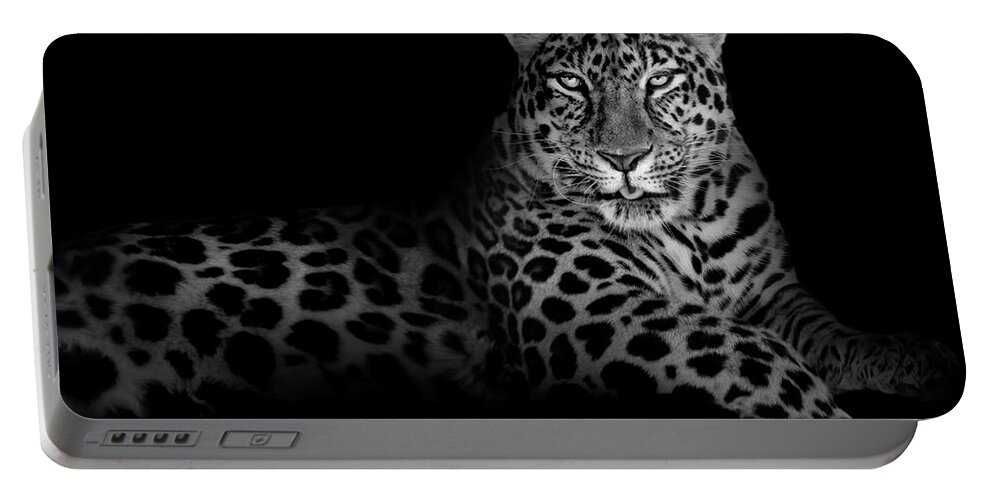 Background Portable Battery Charger featuring the photograph The Majestic Leopard by Mark Andrew Thomas