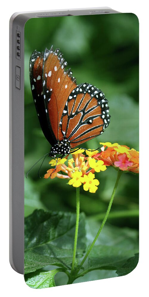 Insect Portable Battery Charger featuring the photograph The Monarch by Jim Feldman