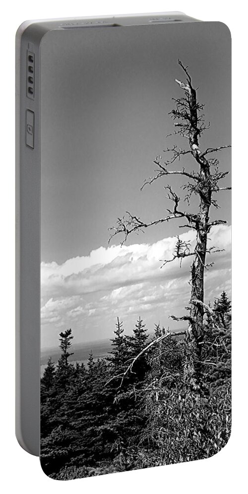 Tree Portable Battery Charger featuring the photograph The Old Man BW by Lee Darnell