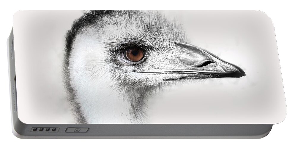 Ostrich Portable Battery Charger featuring the photograph The Ostrich by Neala McCarten