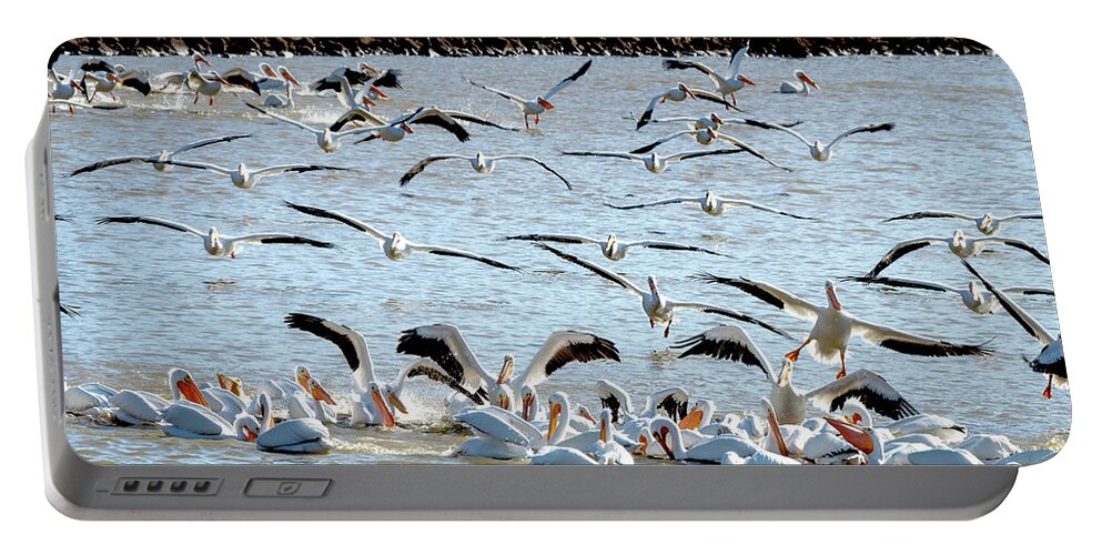 American White Pelicans Portable Battery Charger featuring the photograph The Pelicans Found the Fish by Debra Martz
