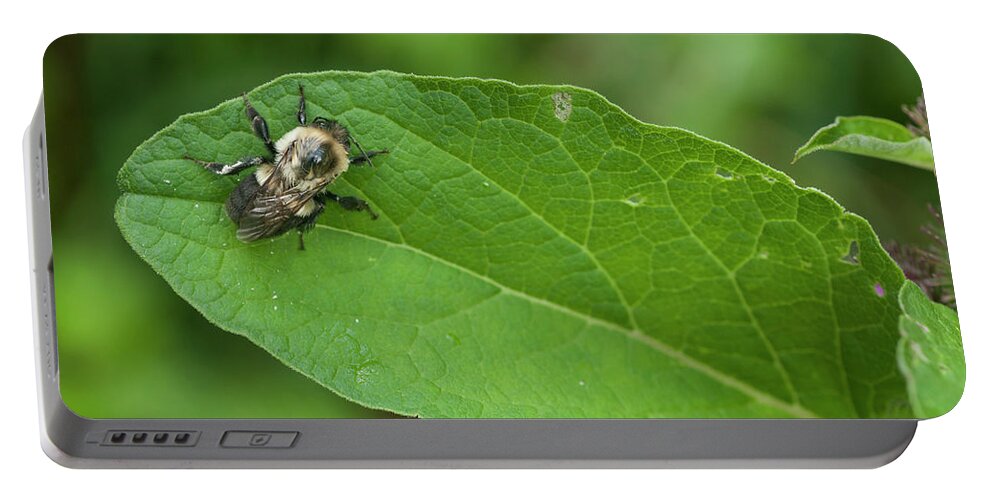 Blue Ridge Mountains Portable Battery Charger featuring the photograph The Pollinator by Melissa Southern