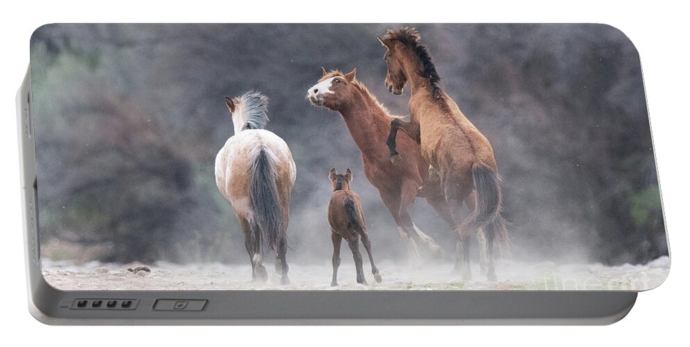 Stallion Portable Battery Charger featuring the photograph The Protector by Shannon Hastings
