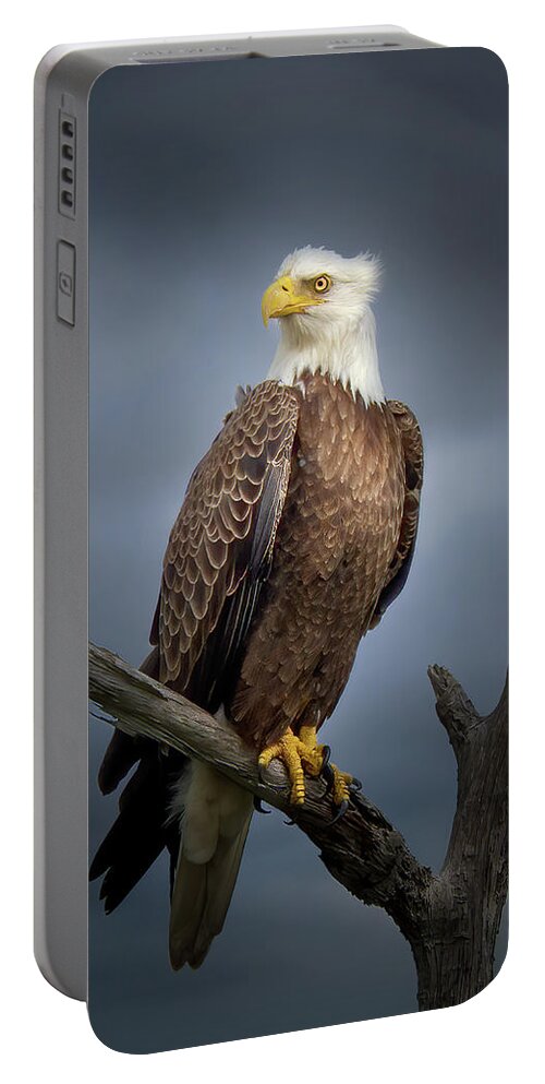 Eagle Portable Battery Charger featuring the photograph The Regal Eagle by Mark Andrew Thomas
