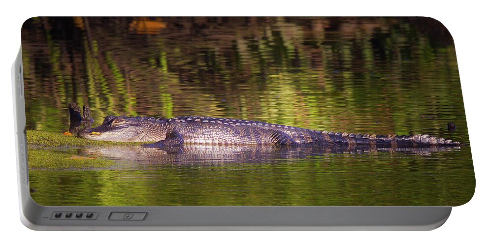 Alligator Portable Battery Charger featuring the photograph The River Alligator by Mark Andrew Thomas