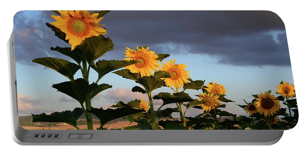 Unflower Portable Battery Charger featuring the photograph The row of sunflowers by Arik Baltinester