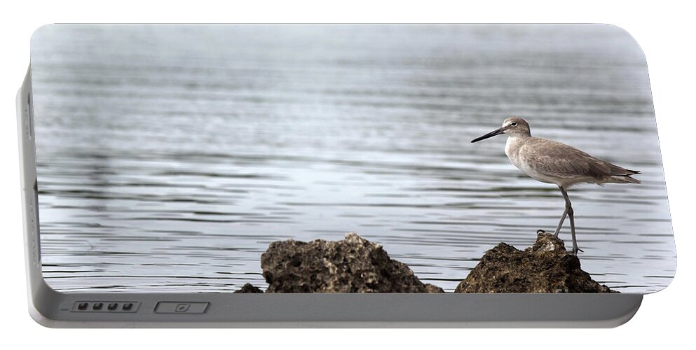 Bird; Sandpiper; Water; Gulf Of Mexico; Florida; Key West; Sunlight; Reflections; Ripples; Rocks; Beach; Portable Battery Charger featuring the photograph The Sandpiper by Tina Uihlein