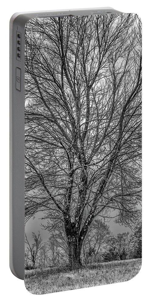 Tree Portable Battery Charger featuring the photograph The Shape of a Tree by David Lee