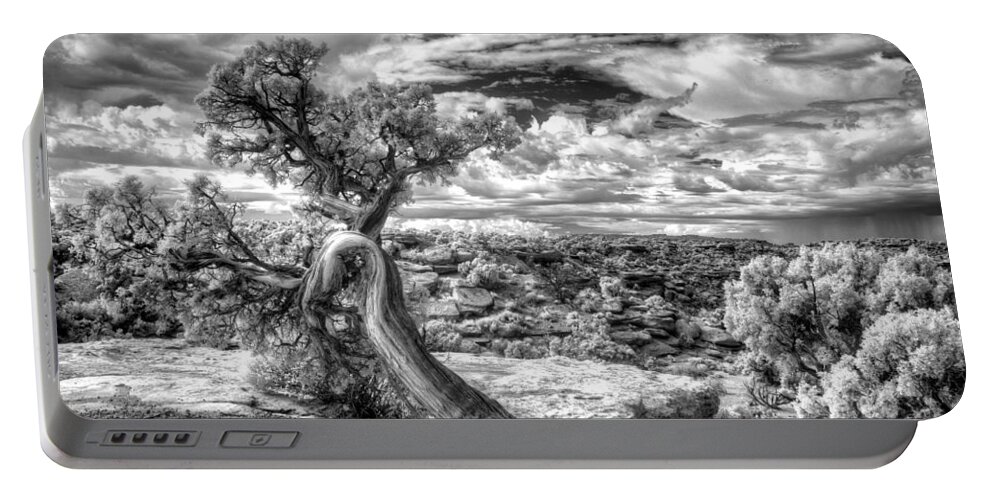 Nationalparks; Utah; Black And White; Tree; Wisdom; Ancient; Native American; Department Of Interior Portable Battery Charger featuring the photograph The Spirit Tree - Canyonlands National Park - Utah by William Rainey