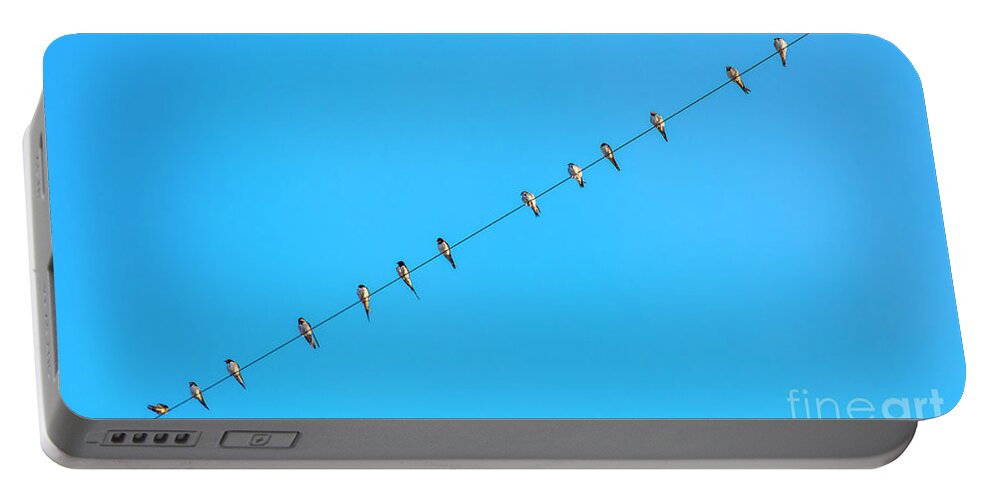 Birds Portable Battery Charger featuring the photograph The Tweeters by Daniel M Walsh