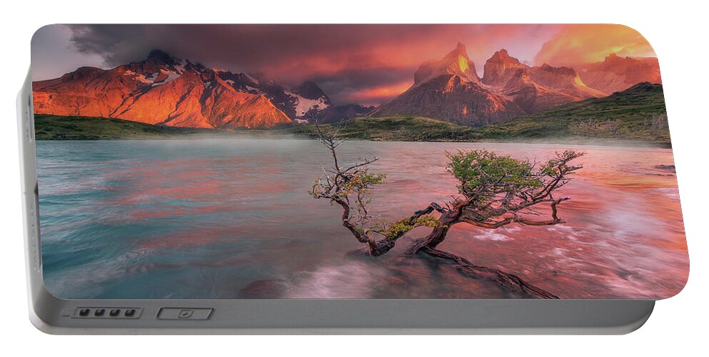 Patagonia Portable Battery Charger featuring the photograph The Twin Trees #3 by Henry w Liu