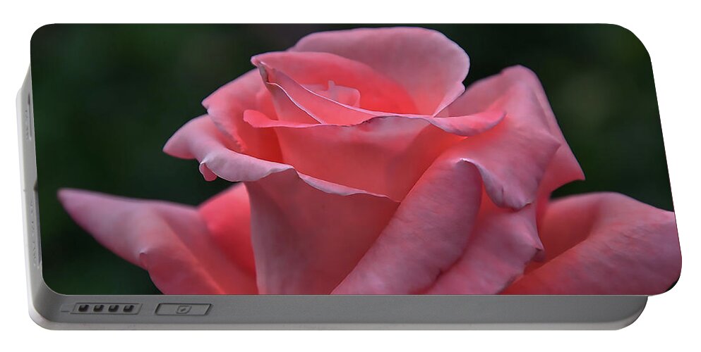 Rose Portable Battery Charger featuring the digital art The Unfolding Of A Pink Rose Bud by Kirt Tisdale