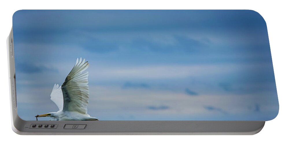 Bird Portable Battery Charger featuring the photograph The V of the Blue by Shawn M Greener
