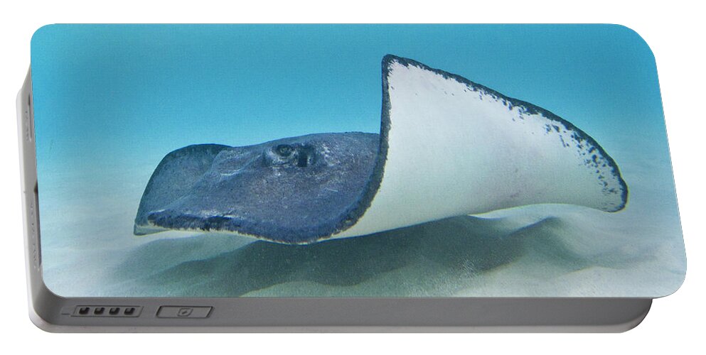 Ocean Portable Battery Charger featuring the photograph The Wave by Lynne Browne
