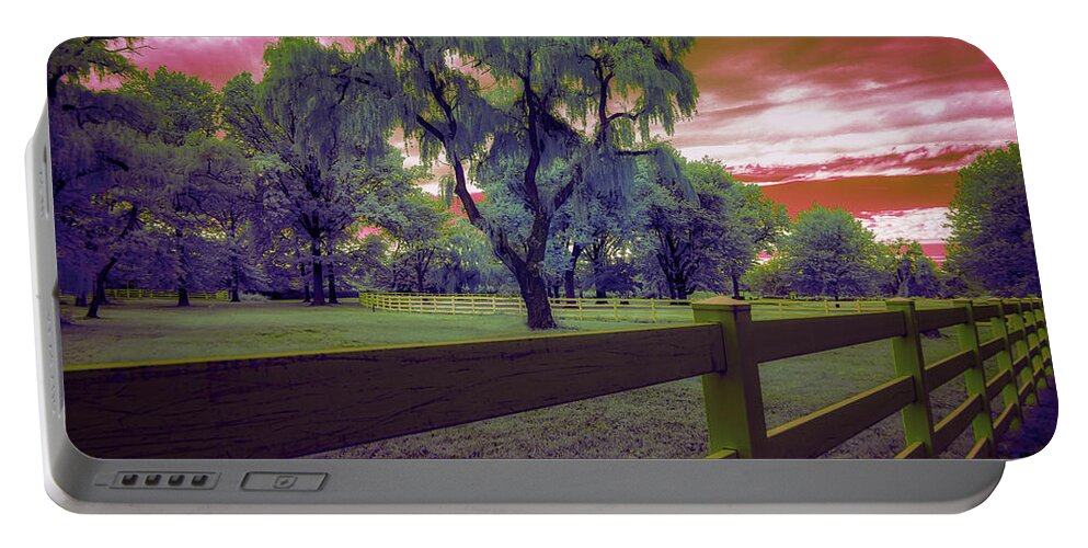 Infrared Photography Portable Battery Charger featuring the photograph The Weeping Trees by Penny Polakoff