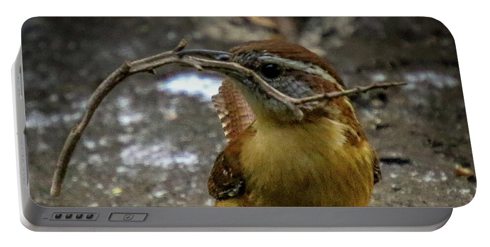 Wren Portable Battery Charger featuring the photograph The Wren Is A Family Wren by Philip And Robbie Bracco