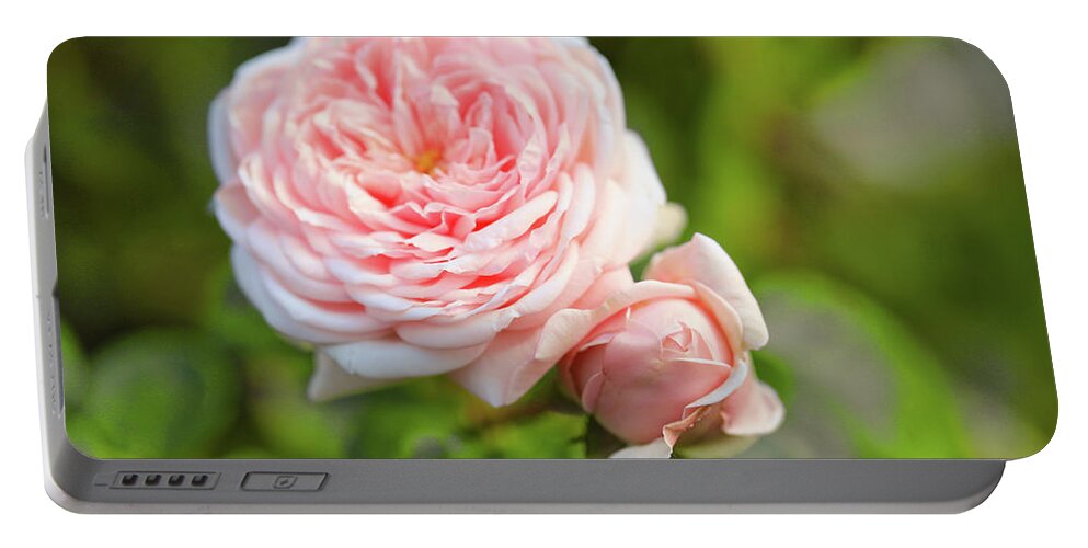 Pink Portable Battery Charger featuring the photograph This Is Rose And Baby Bud by Scott Burd