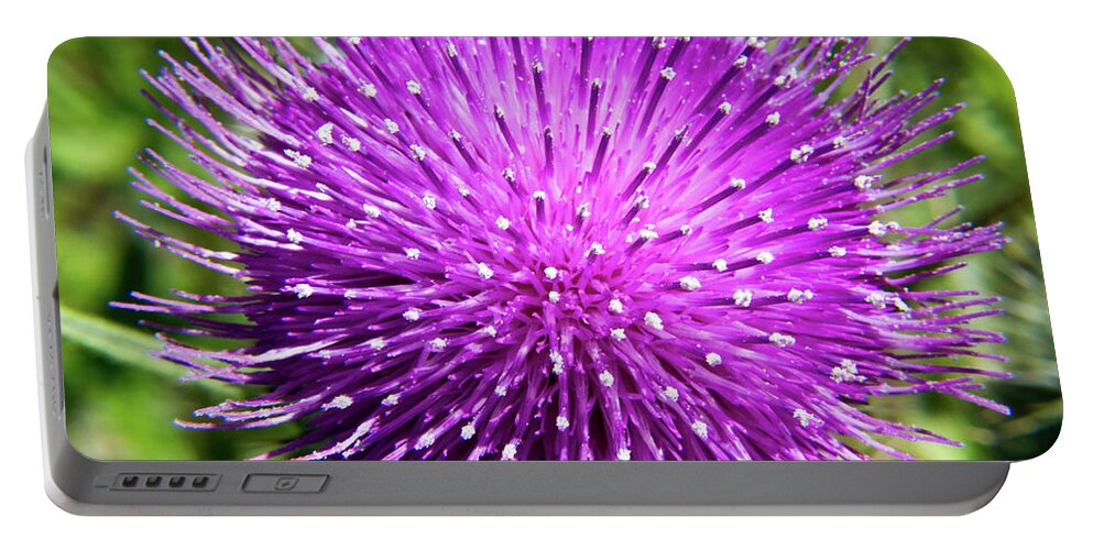 Olympic Peninsula Portable Battery Charger featuring the photograph Thistle Bloom by David Desautel