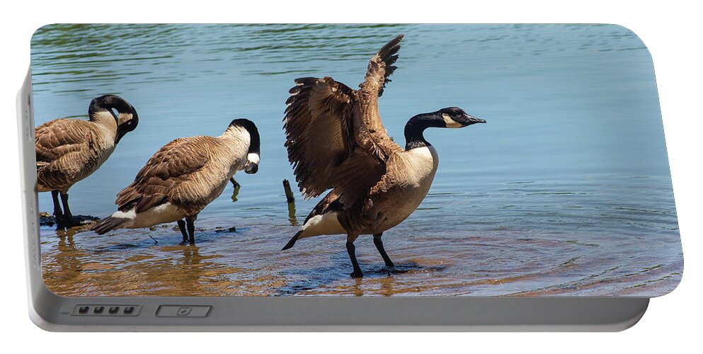 Nature Portable Battery Charger featuring the photograph Three Geese Bathing in a Lake by Auden Johnson