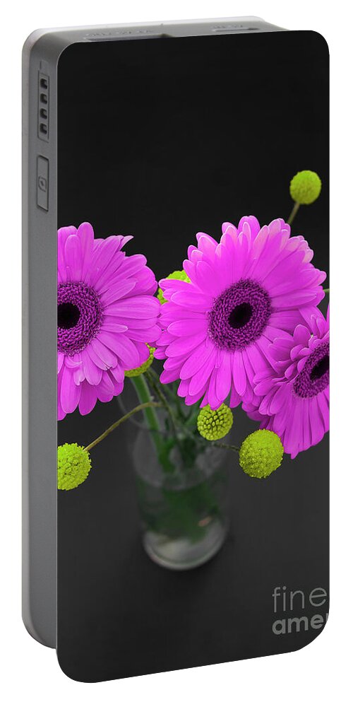 Floral Portable Battery Charger featuring the photograph Three Gerbers by Renee Spade Photography
