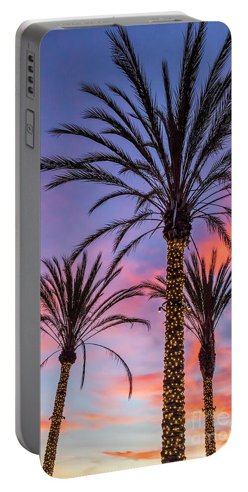  Portable Battery Charger featuring the photograph Three lighted palm trees in La Jolla, California by Julia Hiebaum