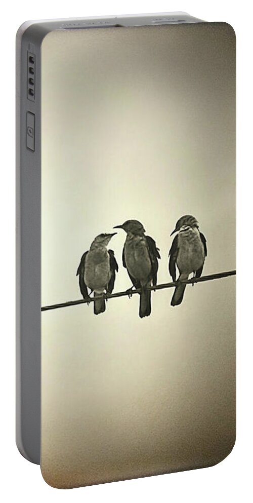 Birds Portable Battery Charger featuring the photograph Three Little Birds by Trish Mistric