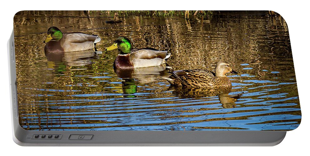 Birds Portable Battery Charger featuring the photograph Three Mallard ducks chilling out by Louis Dallara
