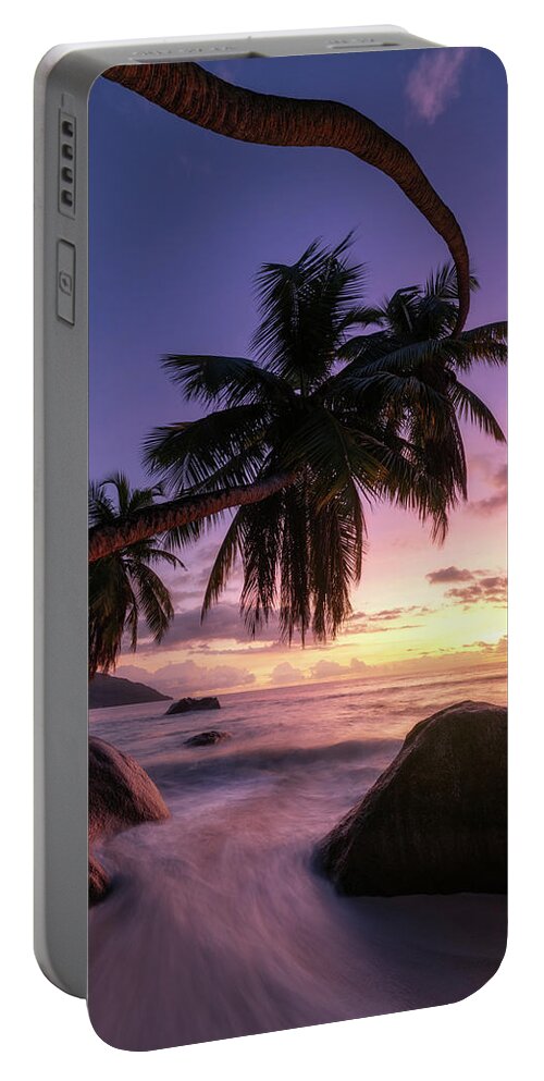 Palms Portable Battery Charger featuring the photograph Three palms by Erika Valkovicova