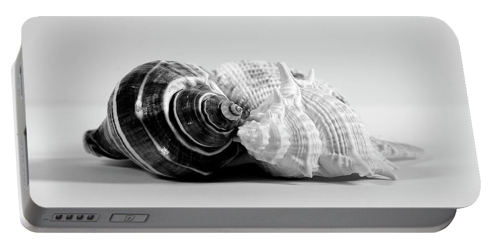 Seashells Portable Battery Charger featuring the photograph Three Seashells by Angie Tirado