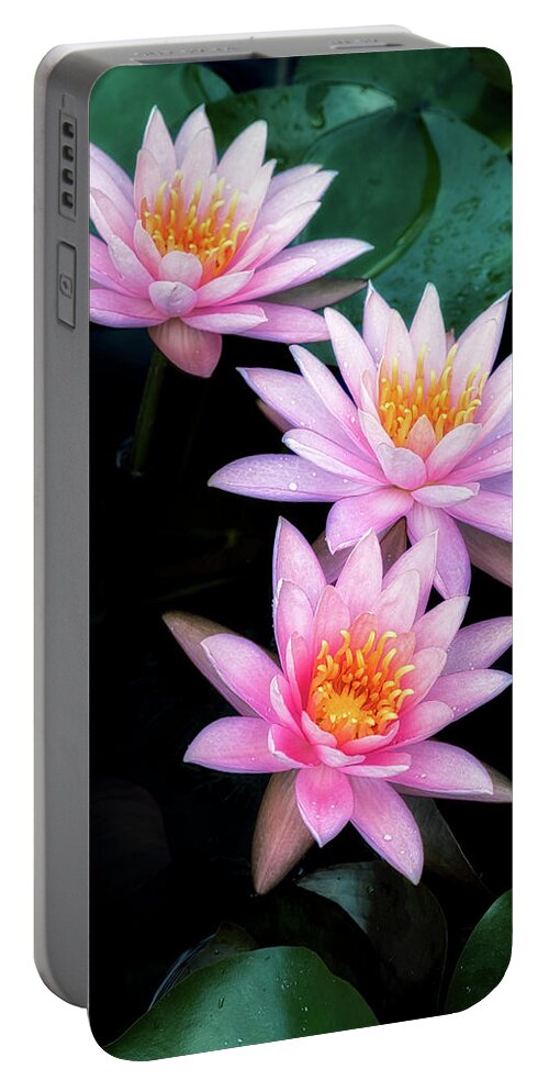  Floral Portable Battery Charger featuring the photograph Three sisters by Usha Peddamatham