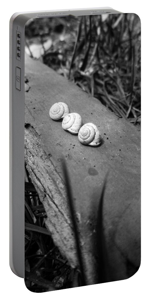Snail Shells Portable Battery Charger featuring the photograph Three Snail Shells by W Craig Photography