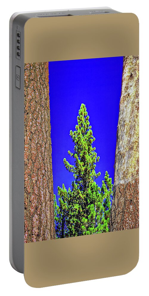 Three Portable Battery Charger featuring the photograph Three Trees, High Sierras, California by Don Schimmel