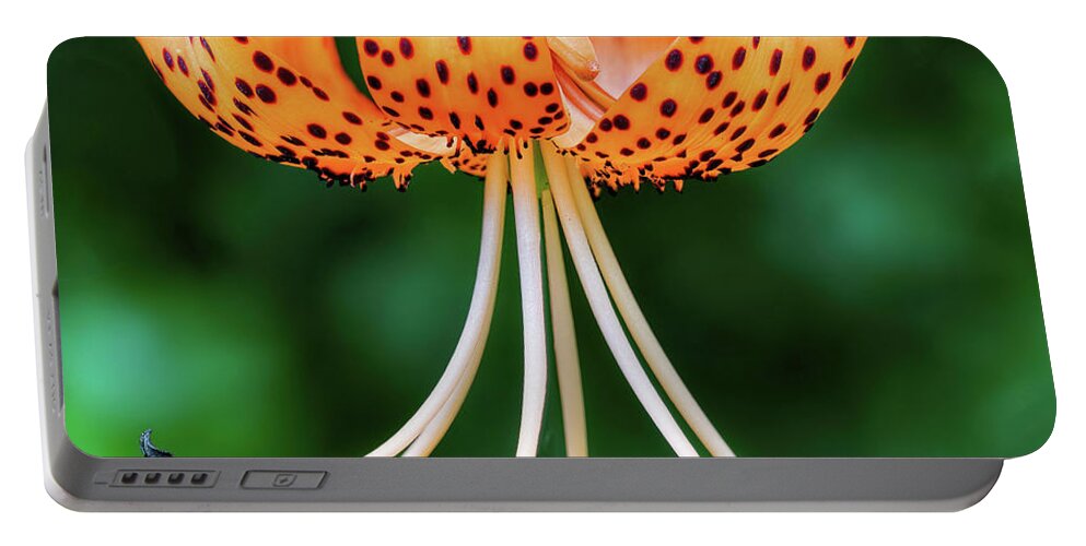 Tiger Lily Portable Battery Charger featuring the photograph Tiger Lily Up Close by Gary Slawsky