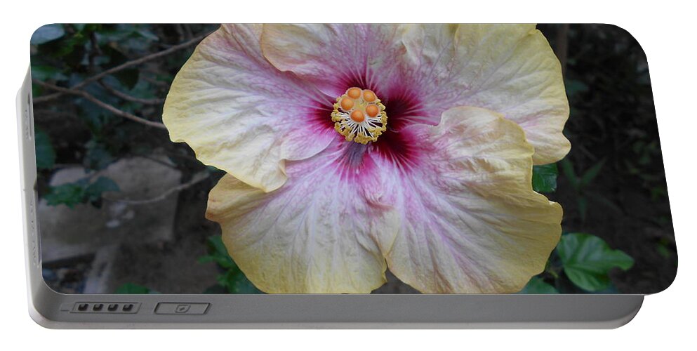 Flower Portable Battery Charger featuring the photograph Tinges of Purple by Nancy Graham