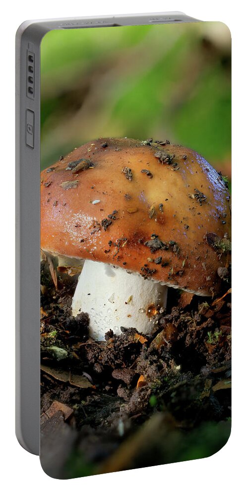 Tiny Mushroom Portable Battery Charger featuring the photograph Tiny Mushroom 02 by Weston Westmoreland