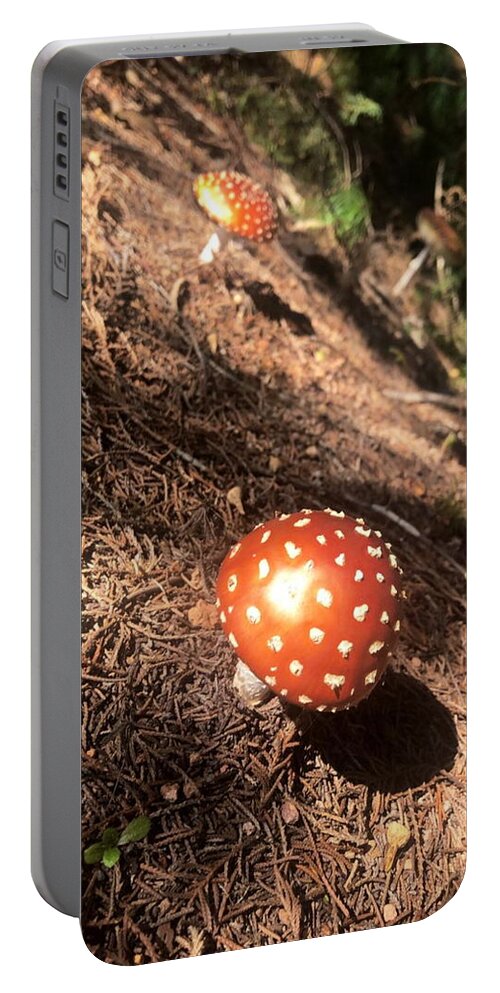 All Portable Battery Charger featuring the digital art Toadstools 1 KN52 by Art Inspirity