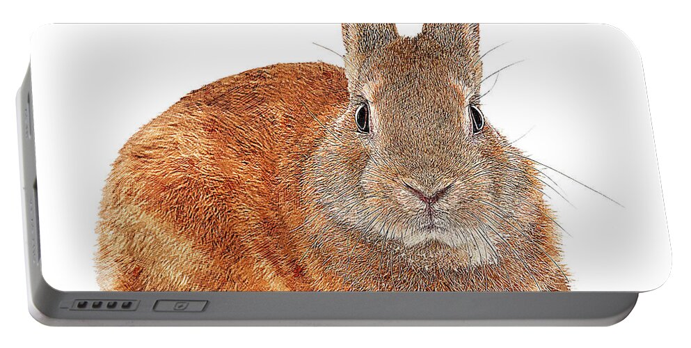 Rabbit Portable Battery Charger featuring the painting Too Cute, European Rabbit by Custom Pet Portrait Art Studio