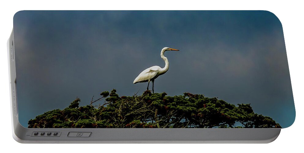 Bird Portable Battery Charger featuring the photograph Top Of The World by Cathy Kovarik