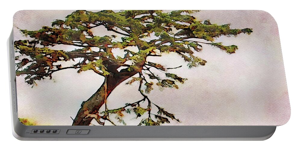 Torrey Portable Battery Charger featuring the painting Torrey Pine Tree on a Rock by Russ Harris