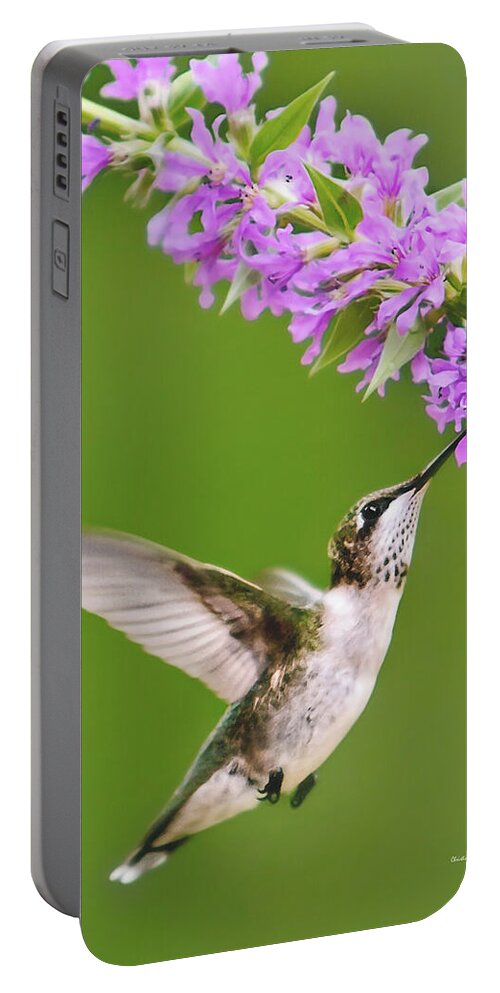 Hummingbird Portable Battery Charger featuring the digital art Touched Hummingbird by Christina Rollo